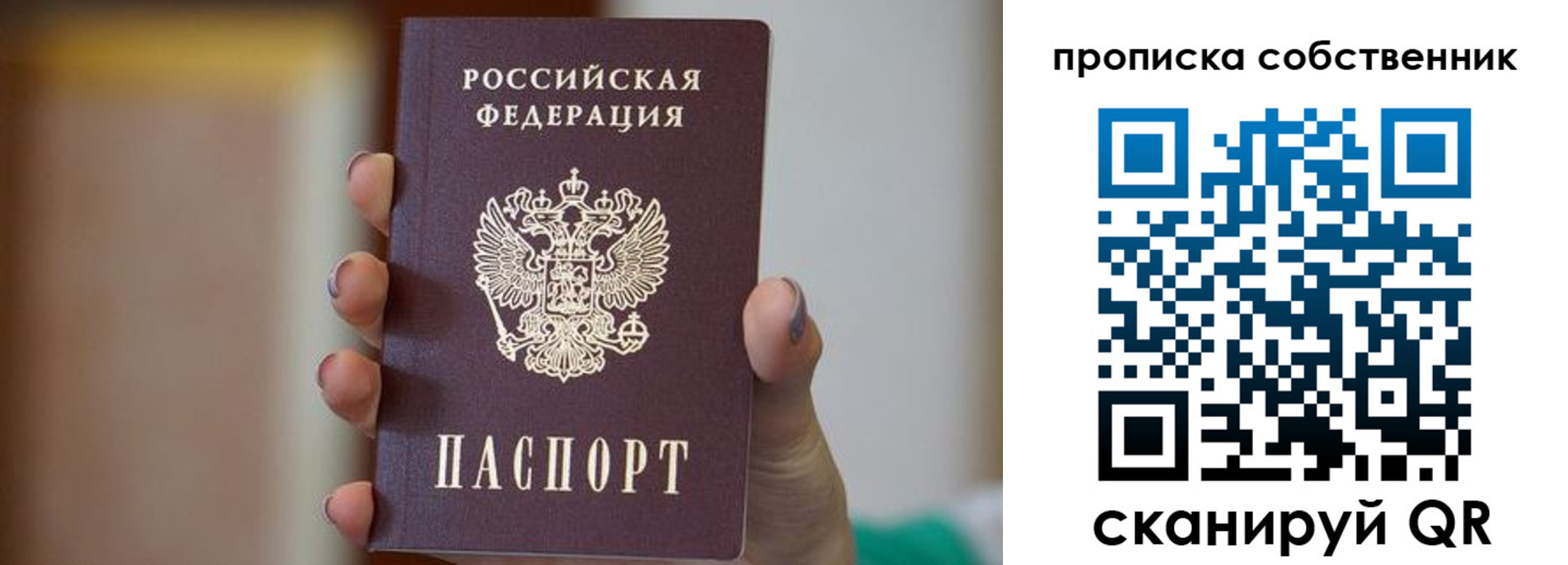 прописка поиск в Читинской области